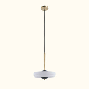 Bert_Frank_Travel_Pendant_light_14
