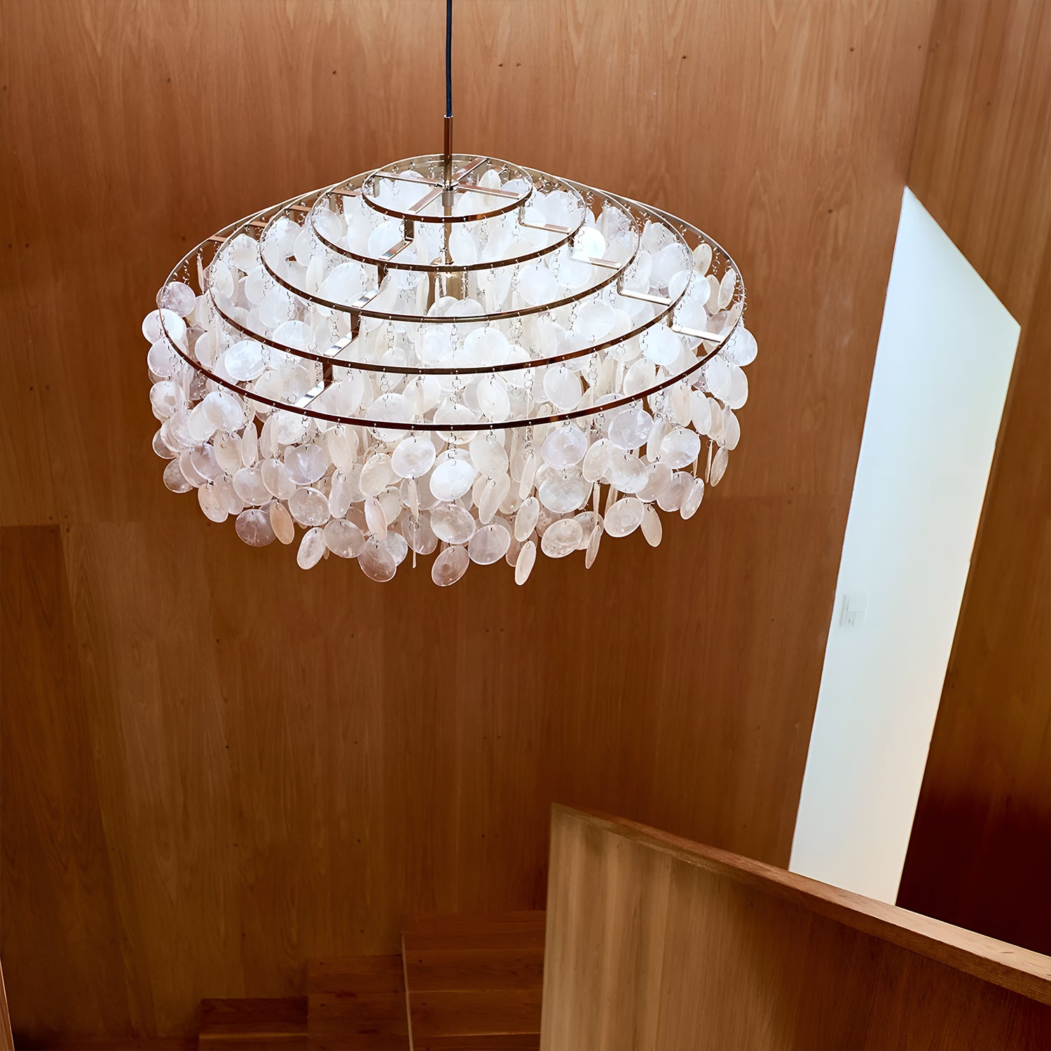SHELL FUN 10DM Chandelier