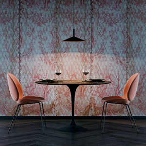 Altura_Suspension_Pendant_Light_Penta_0013