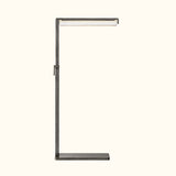 Audubon Crystal Task Floor Lamp