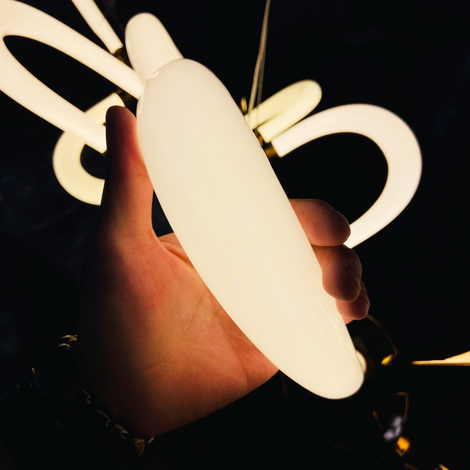 Bouchon_Chandelier_Hudson_Valley_0022