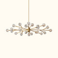 Boule De Cristal Clear Glass Oval Chandelier