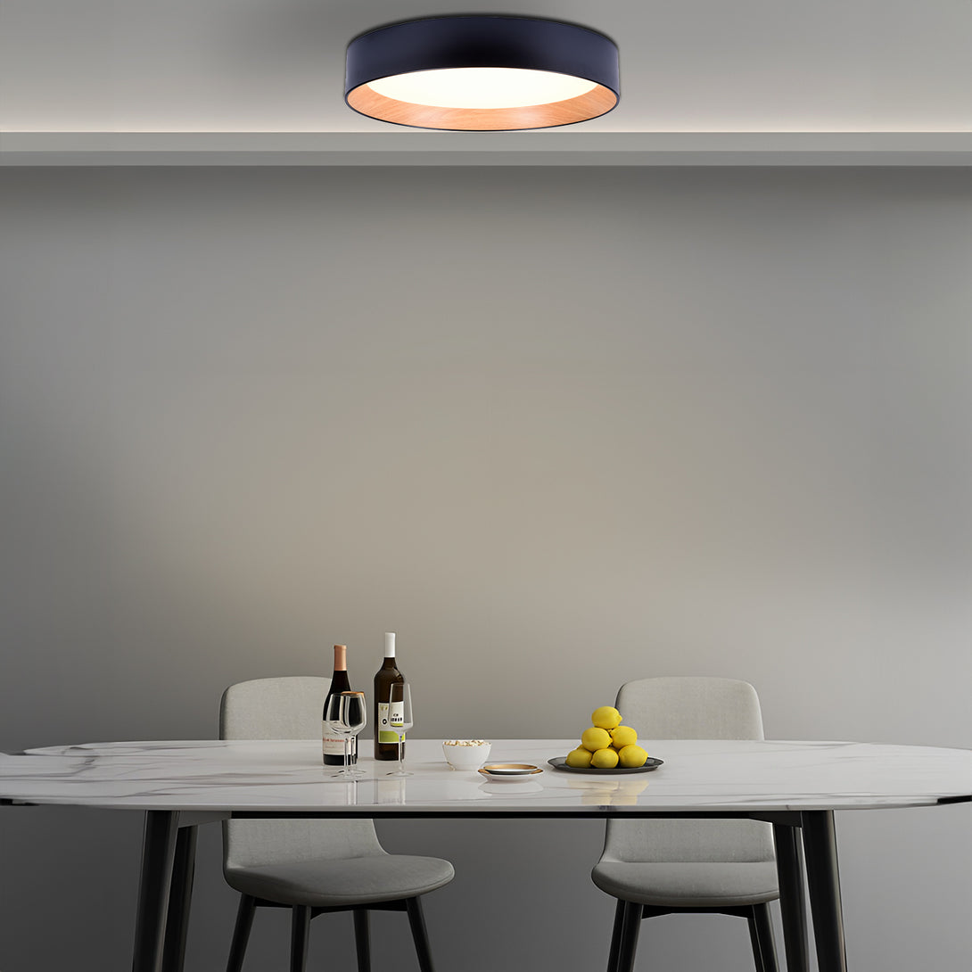 Duo Ceiling Lamp