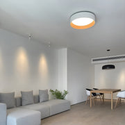 Duo Ceiling Lamp