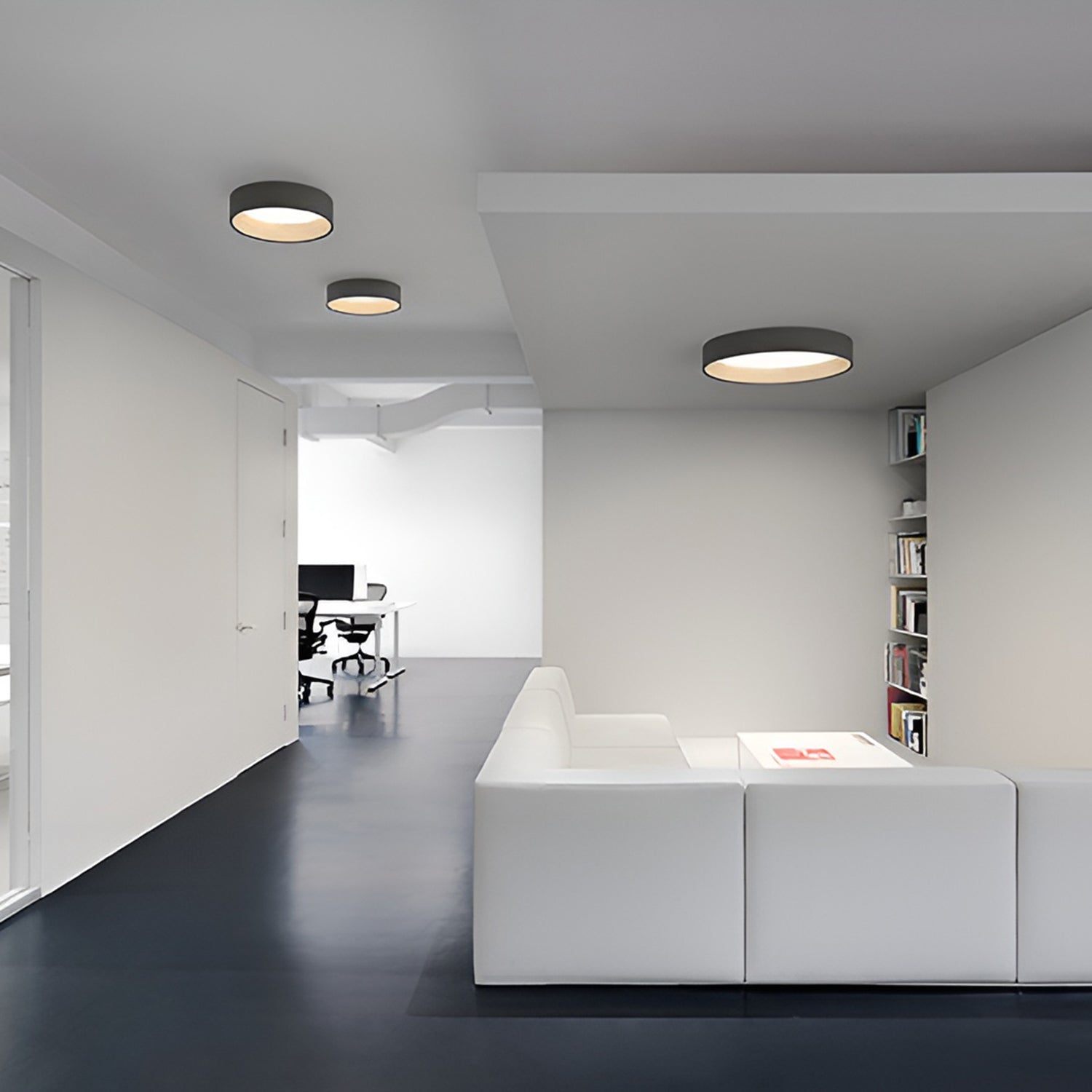 Duo Ceiling Lamp