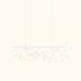 Heracleum III Endless Chandelier