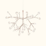 Heracleum III Suspended Chandelier