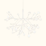 Heracleum III Suspended Chandelier