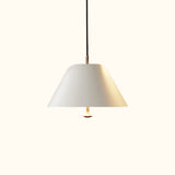 Levitate Pendant Light
