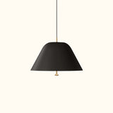 Levitate Pendant Light