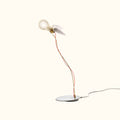 Lucellino LED Table Lamp