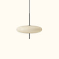 Model 2065 Pendant Light