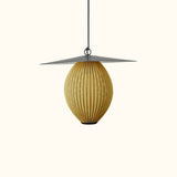 Satellite Outdoor Pendant Light