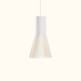 Secto 4201 Pendant Light