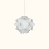 Taraxacum Pendant Light