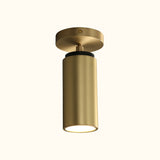Champeaux Pivoting Flushmount