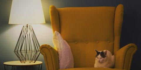 Table Lamp Size