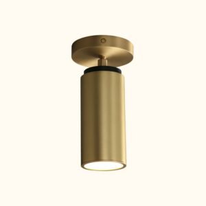 Champeaux Pivoting Flushmount