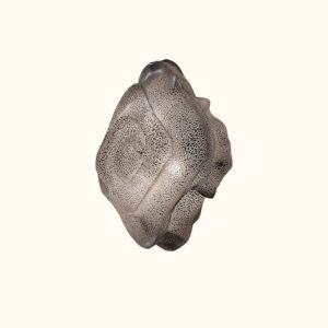 Nevo Wall Light